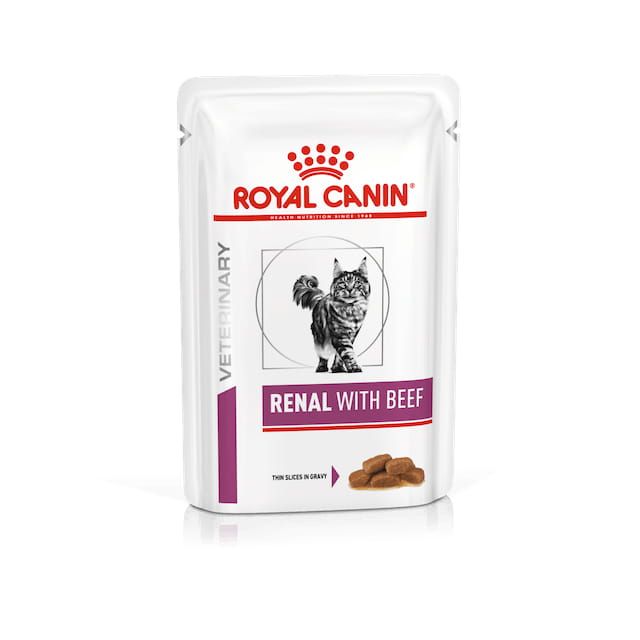 Renal Carne Gatto 1 pz x 85 g