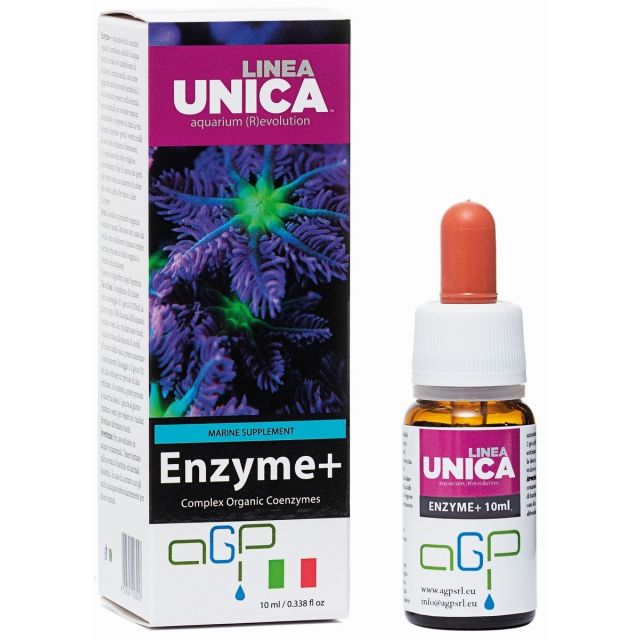  Enzyme+ 10ml