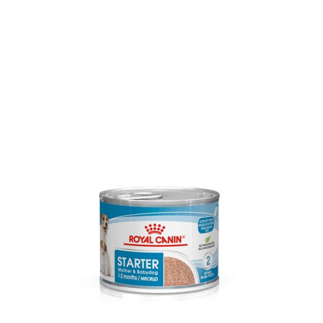 Starter Mousse Umido 12 pz x 195 g